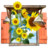 Flowers Sunflowers Window Icon